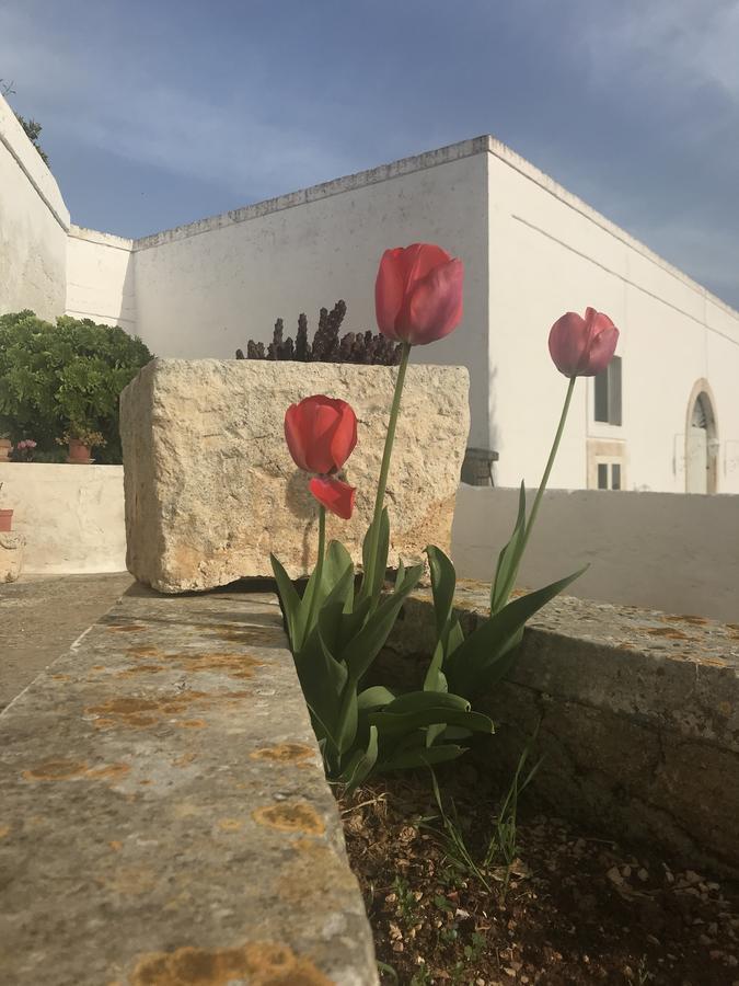 Masseria Rienzo أوستوني المظهر الخارجي الصورة